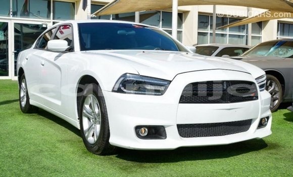 Acheter Import Voiture Dodge Charger Blanc à Import - Dubai, État d'Abia Acheter Import Voiture Dodge Charger Blanc à Import - Dubai, État d'Abia