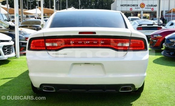 Acheter Import Voiture Dodge Charger Blanc à Import - Dubai, État d'Abia Acheter Import Voiture Dodge Charger Blanc à Import - Dubai, État d'Abia