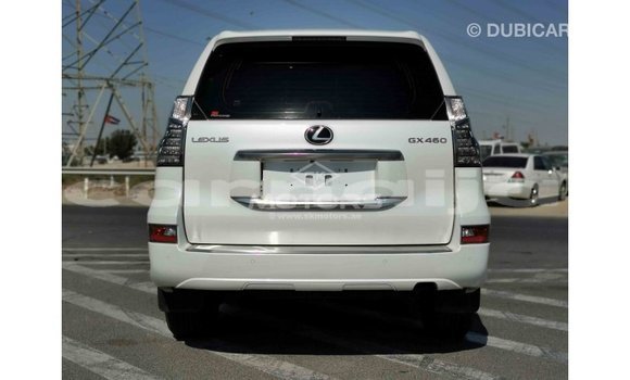 Acheter Import Voiture Lexus GX Blanc à Import - Dubai, État d'Abia Acheter Import Voiture Lexus GX Blanc à Import - Dubai, État d'Abia