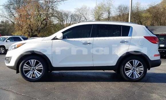 Acheter Import Voiture Kia Sportage Blanc à Kankiya, Katsina Acheter Import Voiture Kia Sportage Blanc à Kankiya, Katsina