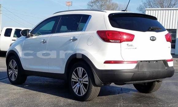 Acheter Import Voiture Kia Sportage Blanc à Kankiya, Katsina Acheter Import Voiture Kia Sportage Blanc à Kankiya, Katsina