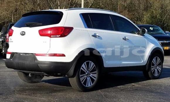 Acheter Import Voiture Kia Sportage Blanc à Kankiya, Katsina Acheter Import Voiture Kia Sportage Blanc à Kankiya, Katsina