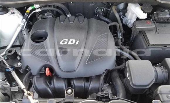 Acheter Import Voiture Kia Sportage Blanc à Kankiya, Katsina Acheter Import Voiture Kia Sportage Blanc à Kankiya, Katsina