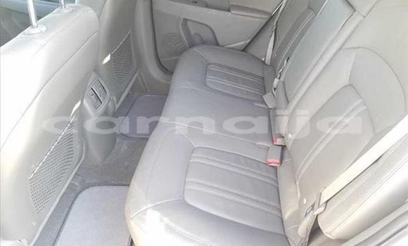 Acheter Import Voiture Kia Sportage Blanc à Kankiya, Katsina Acheter Import Voiture Kia Sportage Blanc à Kankiya, Katsina