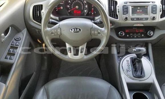 Acheter Import Voiture Kia Sportage Blanc à Kankiya, Katsina Acheter Import Voiture Kia Sportage Blanc à Kankiya, Katsina