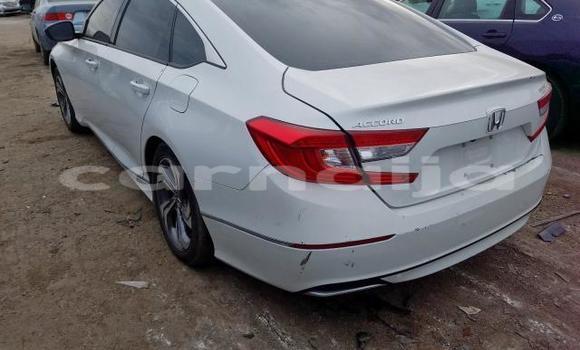 Buy New Honda Accord White Car in Abejukolo in Kogi State Buy New Honda Accord White Car in Abejukolo in Kogi State