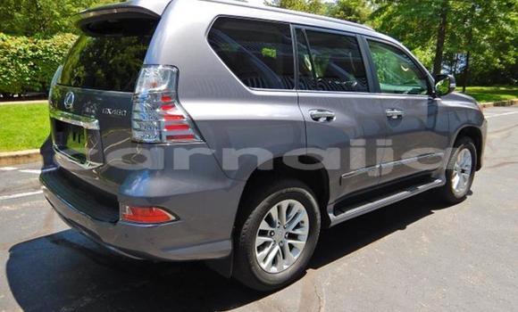 Acheter Import Voiture Lexus GX Autre à Kagoro, Kaduna Acheter Import Voiture Lexus GX Autre à Kagoro, Kaduna