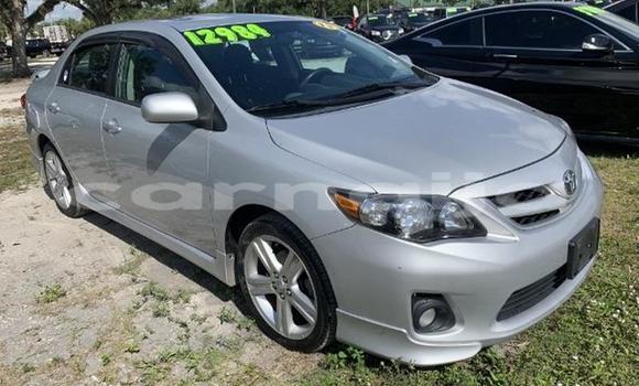 Acheter Import Voiture Toyota Corolla Gris à Abuja, État de Lagos Acheter Import Voiture Toyota Corolla Gris à Abuja, État de Lagos