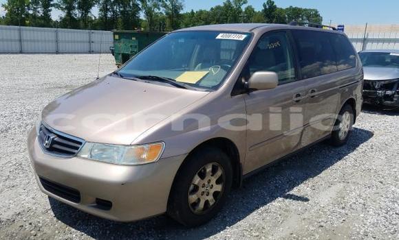 Acheter Neuf Voiture Honda Odyssey Gris à Badagry, État de Lagos Acheter Neuf Voiture Honda Odyssey Gris à Badagry, État de Lagos