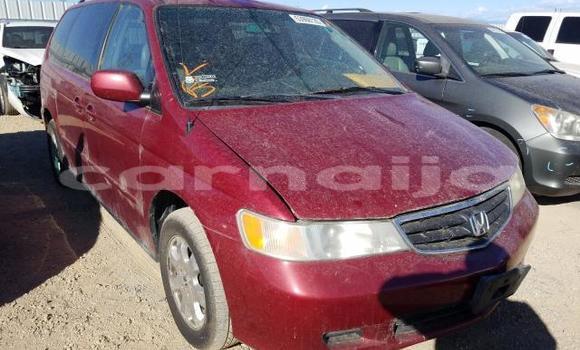 Acheter Neuf Voiture Honda Odyssey Rouge à Badagry, État de Lagos