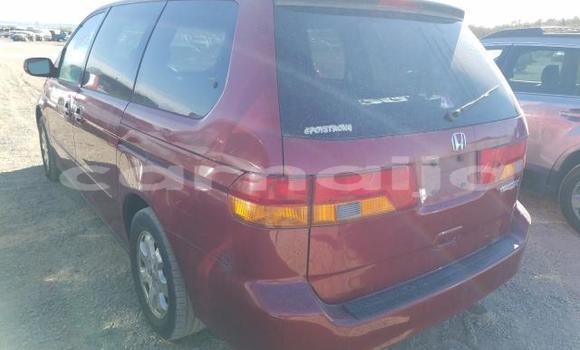 Acheter Neuf Voiture Honda Odyssey Rouge à Badagry, État de Lagos Acheter Neuf Voiture Honda Odyssey Rouge à Badagry, État de Lagos