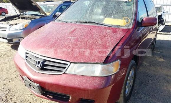 Acheter Neuf Voiture Honda Odyssey Rouge à Badagry, État de Lagos Acheter Neuf Voiture Honda Odyssey Rouge à Badagry, État de Lagos