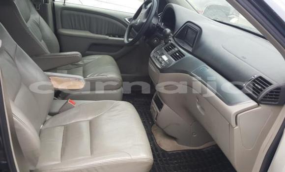 Buy New Honda Odyssey Silver Car in Badagry in Lagos State Buy New Honda Odyssey Silver Car in Badagry in Lagos State