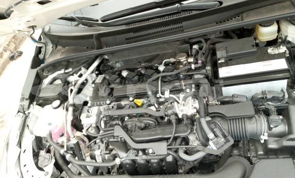 Buy Import Toyota Corolla White Car in Ipokia in Ogun State Buy Import Toyota Corolla White Car in Ipokia in Ogun State