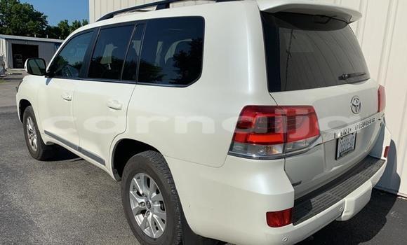 Acheter Import Voiture Toyota Land Cruiser Prado Blanc à Mubi, Adamawa Acheter Import Voiture Toyota Land Cruiser Prado Blanc à Mubi, Adamawa