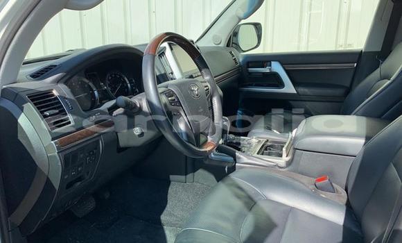 Acheter Import Voiture Toyota Land Cruiser Prado Blanc à Mubi, Adamawa Acheter Import Voiture Toyota Land Cruiser Prado Blanc à Mubi, Adamawa