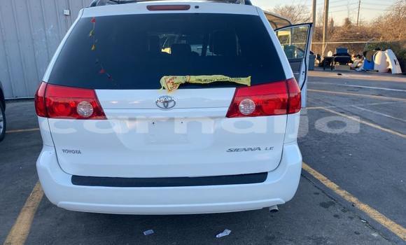 Acheter Neuf Voiture Toyota Sienna Blanc à Badagry, État de Lagos Acheter Neuf Voiture Toyota Sienna Blanc à Badagry, État de Lagos