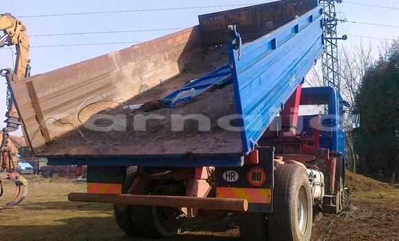 Acheter Import Utilitaire Man Silent Bleu à Ipokia, État d'Ogun Acheter Import Utilitaire Man Silent Bleu à Ipokia, État d'Ogun