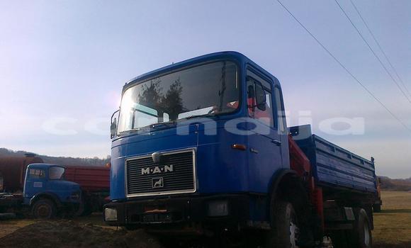 Acheter Import Utilitaire Man Silent Bleu à Ipokia, État d'Ogun Acheter Import Utilitaire Man Silent Bleu à Ipokia, État d'Ogun