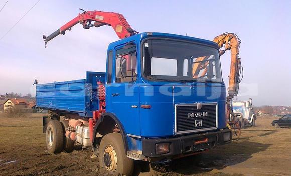 Acheter Import Utilitaire Man Silent Bleu à Ipokia, État d'Ogun Acheter Import Utilitaire Man Silent Bleu à Ipokia, État d'Ogun