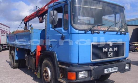 Acheter Import Utilitaire Man Silent Bleu à Ipokia, État d'Ogun Acheter Import Utilitaire Man Silent Bleu à Ipokia, État d'Ogun