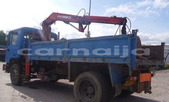 Acheter Import Utilitaire Man Silent Bleu à Ipokia, État d'Ogun Acheter Import Utilitaire Man Silent Bleu à Ipokia, État d'Ogun