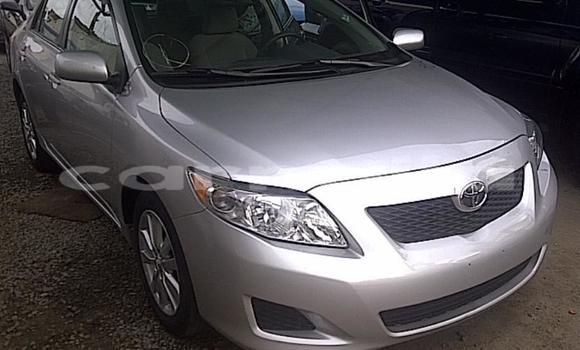 Acheter Occasion Voiture Toyota Corolla Gris à Lagos, État de Lagos Acheter Occasion Voiture Toyota Corolla Gris à Lagos, État de Lagos