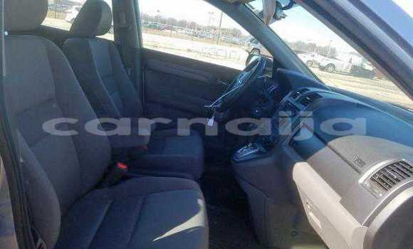 Acheter Import Voiture Honda CR–V Gris à Lagos, État de Lagos Acheter Import Voiture Honda CR–V Gris à Lagos, État de Lagos