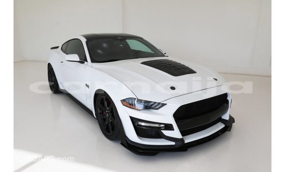 Acheter Import Voiture Ford Mustang Blanc à Import - Dubai, État d'Abia Acheter Import Voiture Ford Mustang Blanc à Import - Dubai, État d'Abia