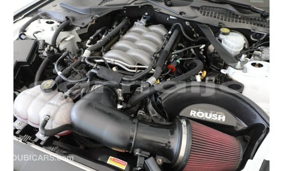 Acheter Import Voiture Ford Mustang Blanc à Import - Dubai, État d'Abia Acheter Import Voiture Ford Mustang Blanc à Import - Dubai, État d'Abia