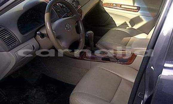 Buy Used Toyota Camry Green Car in Abakaliki in Ebonyi State Buy Used Toyota Camry Green Car in Abakaliki in Ebonyi State