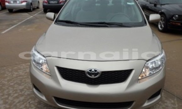 Buy Used Toyota Corolla Other Car in Benin City in Edo Buy Used Toyota Corolla Other Car in Benin City in Edo