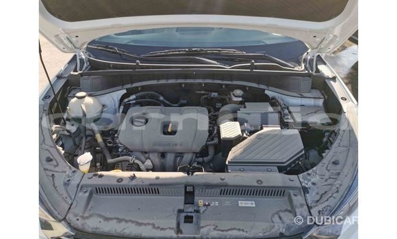 Acheter Import Voiture Hyundai Tucson Blanc à Import - Dubai, État d'Abia Acheter Import Voiture Hyundai Tucson Blanc à Import - Dubai, État d'Abia