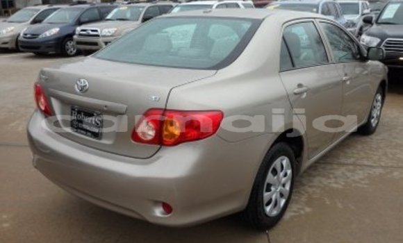 Buy Used Toyota Corolla Other Car in Benin City in Edo Buy Used Toyota Corolla Other Car in Benin City in Edo
