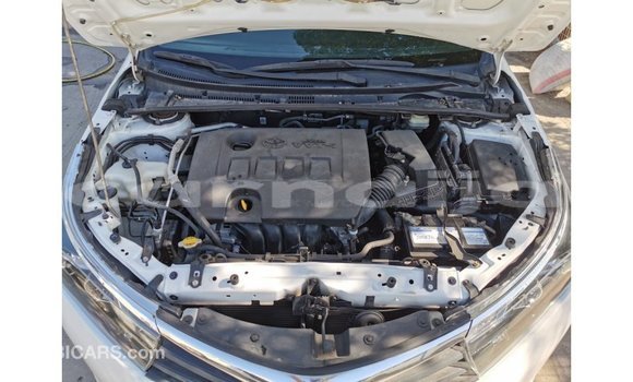 Acheter Import Voiture Toyota Corolla Blanc à Import - Dubai, État d'Abia Acheter Import Voiture Toyota Corolla Blanc à Import - Dubai, État d'Abia