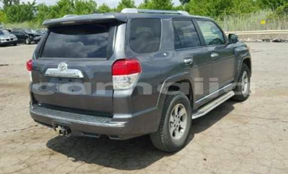 Buy Import Toyota Land Cruiser Other Car in Daura in Katsina Buy Import Toyota Land Cruiser Other Car in Daura in Katsina