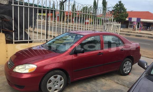 Buy Used Toyota Corolla Red Car in Lagos in Lagos State Buy Used Toyota Corolla Red Car in Lagos in Lagos State