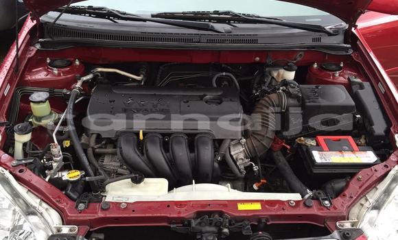 Acheter Neuf Voiture Toyota Corolla Rouge à Lagos, État de Lagos Acheter Neuf Voiture Toyota Corolla Rouge à Lagos, État de Lagos