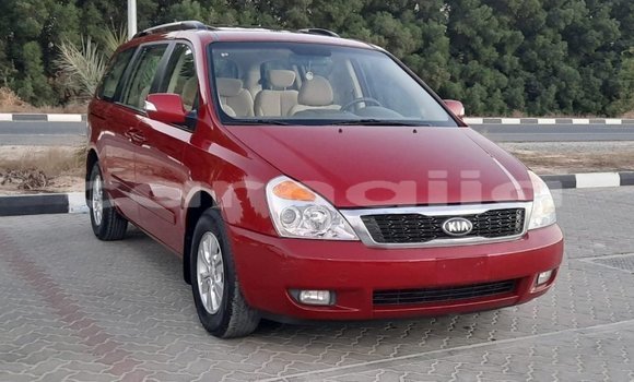 Buy Import Kia Carnival Red Car in Import - Dubai in Abia State