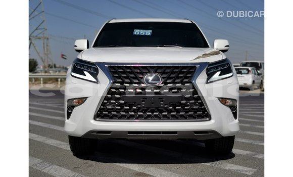 Acheter Import Voiture Lexus GX Blanc à Import - Dubai, État d'Abia Acheter Import Voiture Lexus GX Blanc à Import - Dubai, État d'Abia