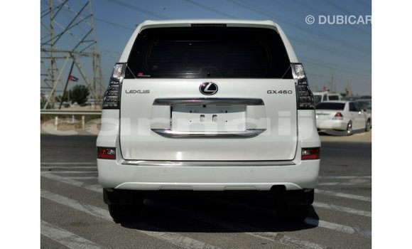 Acheter Import Voiture Lexus GX Blanc à Import - Dubai, État d'Abia Acheter Import Voiture Lexus GX Blanc à Import - Dubai, État d'Abia