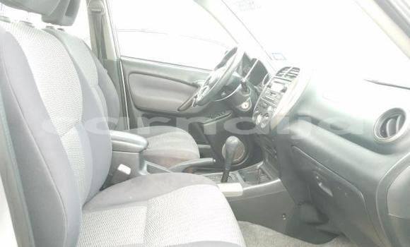 Acheter Occasion Voiture Toyota RAV4 Gris à Abuja, État de Lagos Acheter Occasion Voiture Toyota RAV4 Gris à Abuja, État de Lagos