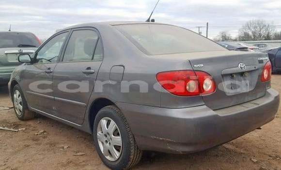 Buy Import Toyota Corolla Other Car in Daura in Katsina Buy Import Toyota Corolla Other Car in Daura in Katsina