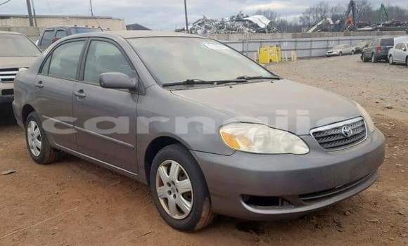 Buy Import Toyota Corolla Other Car in Daura in Katsina Buy Import Toyota Corolla Other Car in Daura in Katsina
