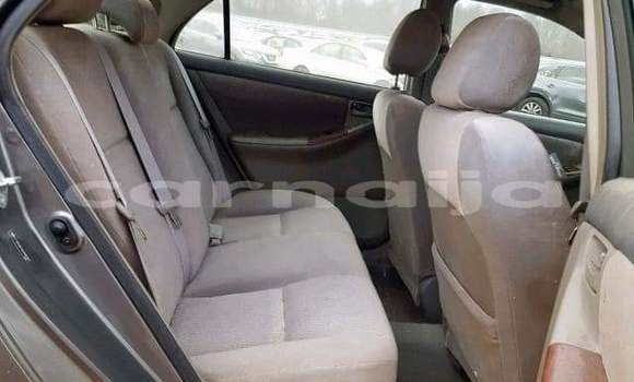 Buy Import Toyota Corolla Other Car in Daura in Katsina Buy Import Toyota Corolla Other Car in Daura in Katsina