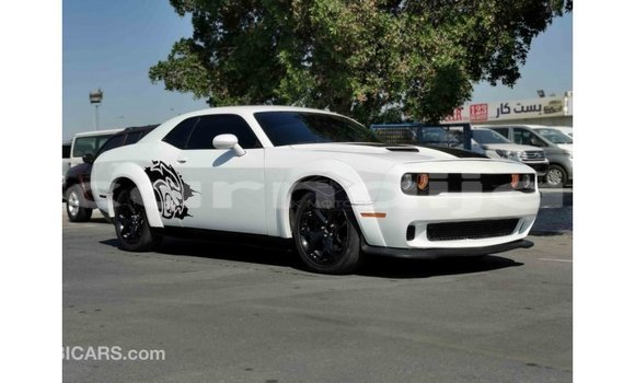 Acheter Import Voiture Dodge Challenger Blanc à Import - Dubai, État d'Abia Acheter Import Voiture Dodge Challenger Blanc à Import - Dubai, État d'Abia