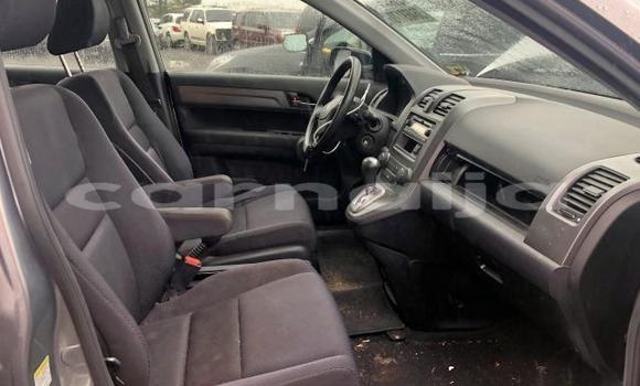 Acheter Occasion Voiture Honda CR–V Beige à Lagos, État de Lagos Acheter Occasion Voiture Honda CR–V Beige à Lagos, État de Lagos