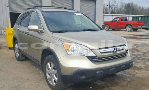 Buy Used Honda CR–V Beige Car in Lagos in Lagos State Buy Used Honda CR–V Beige Car in Lagos in Lagos State