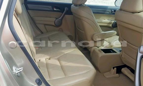 Buy Used Honda CR–V Beige Car in Lagos in Lagos State Buy Used Honda CR–V Beige Car in Lagos in Lagos State