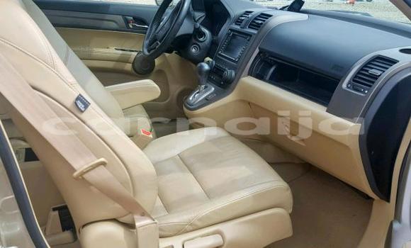 Buy Used Honda CR–V Beige Car in Lagos in Lagos State Buy Used Honda CR–V Beige Car in Lagos in Lagos State